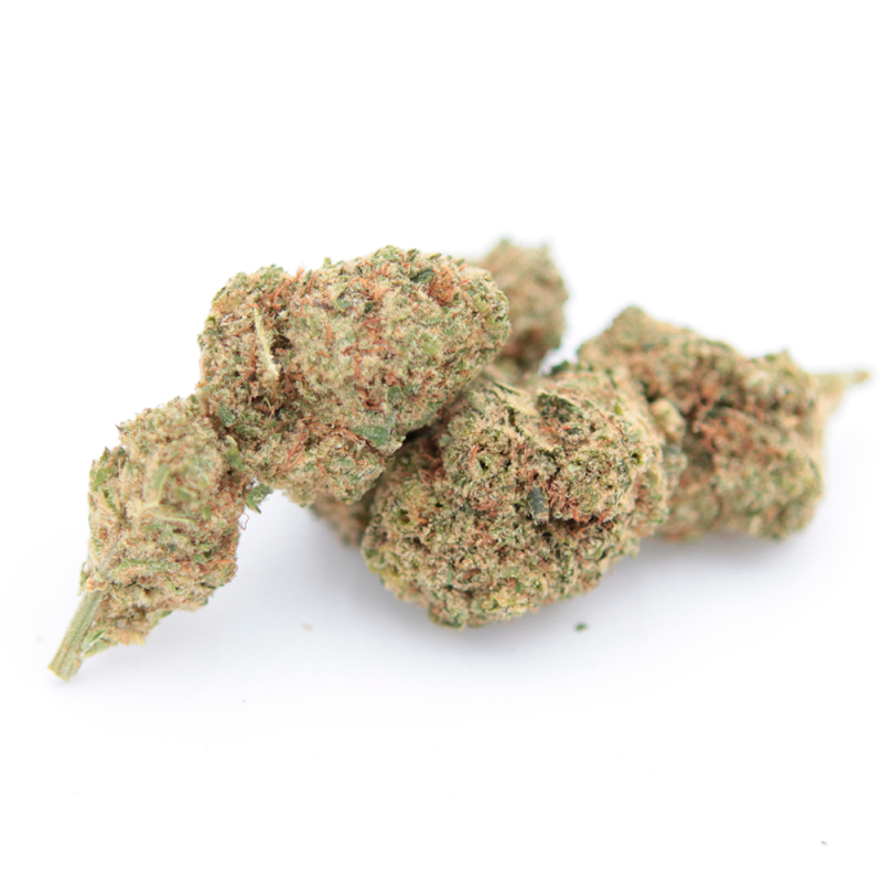 Fleur-Cbd-Indoor-Bubble-Gum-Hemp-Distrib-Grossiste-Cbd