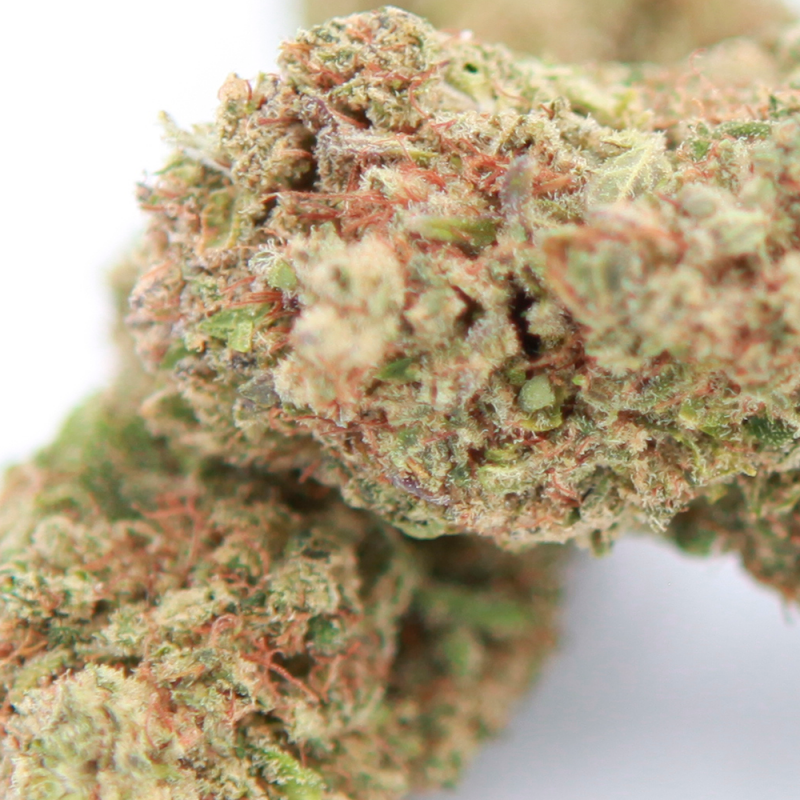Bubble-Gum-Fleur-Cbd-Indoor-Hemp-Distrib-Grossiste-Cbd