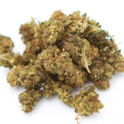 Kc-Virtus-Orange-Fleur-H4CBD-Hemp-Distrib-Grossiste-CBD