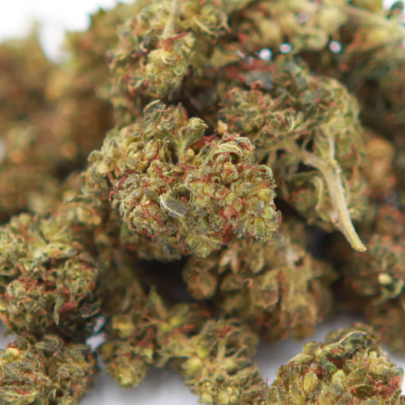 Grossiste-CBD-H4CBD-Kc-Virtus-Orange-Fleur-H4CBD-Hemp-Distrib