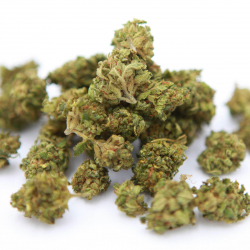 H4CBD-Fedora-Sour-Lemon-Fleur-H4CBD-Grossiste-CBD-Hemp-Distrib