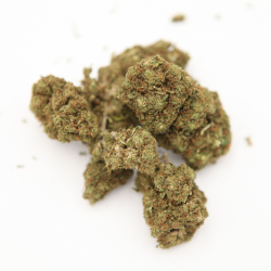 White-Widow-Fleur-Cbd-Hemp-Distrib