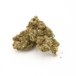Fleur-White-Widow-Fleur-Cbd-Hemp-Distrib