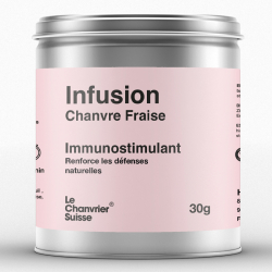 Fraise Infusion au CBD