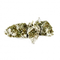 Crystal Amnesia